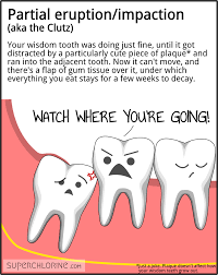Pin On Dental Stuff