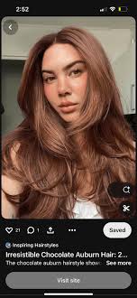 Bronde to Auburn Brown Help : r/Cosmetology