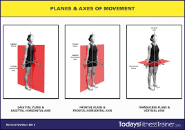 Understanding Exercise Planes Axes And Movement Sagittal Plane Movement How To Stay Motivated