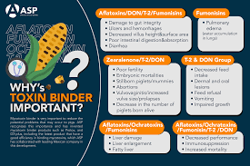 Image result for Mycotoxin