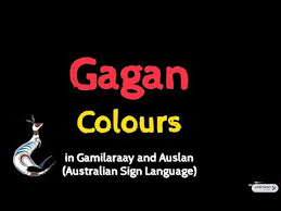 Gagan Colours In Gamilaraay Yuwaalaraay Auslan Australian Sign Language Colours Aboriginal Language
