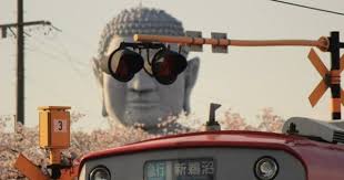グラサン大仏こと布袋の大仏様周辺の桜 今が見ごろです photo track lighting photo wall