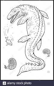 Reptil Prehistorico Acuatico Mosasaurus Dinosaurio Acuatico Pagina Para Colorear Fotografia De Stock Alamy