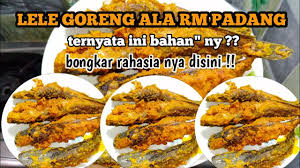 Pesannya gampang dan pengiriman cepat langsung ke lokasi kamu. Resep Lele Goreng Padang Ala Rumah Makan Padang Youtube