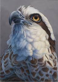 Art Birds Of Prey Logo Larger Than Life Osprey Birds Birds Of Prey Wildlife Artists