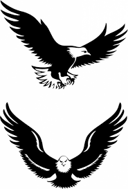 Flying Eagles Free Vector In Adobe Illustrator Ai Ai Format For Free Download 549 16kb Find images of eagle silhouette. flying eagles free vector in adobe