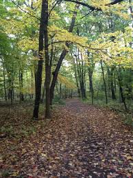 Thatcher Woods In The Fall Nature Country Roads Things To Do