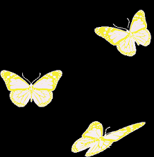 On this page you will find beautiful butterfly gif animations. Borboletas Butterflies Gif Borboletas Butterflies Beautiful Discover Share Gifs