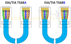 Cat 5E Wiring Diagram For Wall Plates from annawiringdiagram.com