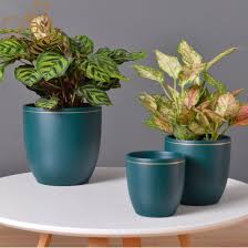 We did not find results for: China Home Decoration Wholesale Popular Purple Cement Planters Concrete Flower Pots China Pot And Cement Pot Price