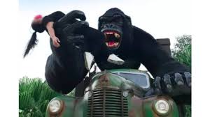 Jump to navigation jump to search. Idxqxaivrvjgzm