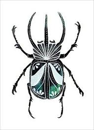 Ma Beau Dessin Insecte Art D Insecte Scarabee
