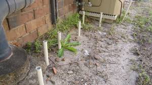 How long will it take for termites to eat my home entirely? Diy Termite Treatment How Not To Do It Conquer Termites Brisbane S Inspection Detection Treatment Specialists