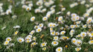 gracieparkerr on Tumblr