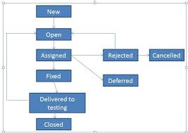 Software Testing Defects Life Cycle