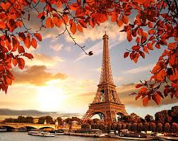 If you have one of your own you'd. Hd Wallpaper Eiffel Tower Desktop Pictures Grass Plant Architecture Wallpaper Flare