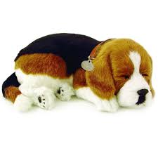 Have you seen perfect petzzz? Beagle Bundle Perfect Petzzz Australia
