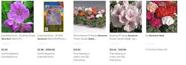 Maybe you would like to learn more about one of these? Top 40 Online Stores For Buying Geranium Plants And Seeds Garden Tabs