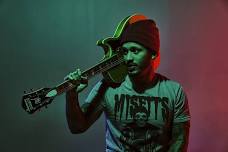 Eli Flynn Live Steuben Brewing Company
