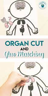 Preschool Lessons Sandbox Academy Preschool Activities Body Preschool Science Tools Activities