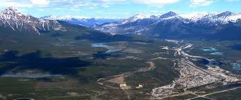 Image result for jasper