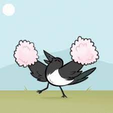 They started fighting and i had to lie on top of her until security showed. Magpie Gif Magpie Discover Share Gifs