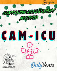 Image result for CAM-ICU