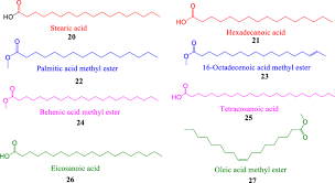 Image result for Senna singueana