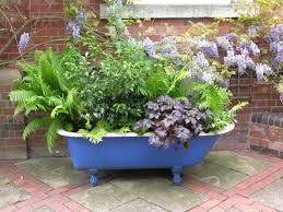 Bath With Ferns Shrubs Succulent Landscaping Diy Garden Raised Garden Beds
