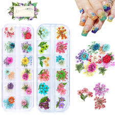 Check spelling or type a new query. Buy Nail Art Flowers Dried Flowers For Nail Art 24 Different Colorful Real Flower Green Leaf Nail Art Accessories 3d Nail Decoration For Diy Uv Gel Acrylic Nail Design Nail Salon Nail