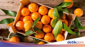 Berikut ini adalah arti mimpi makan buah jeruk manis. Mana Lebih Dulu Dikenal Kata Orange Untuk Jeruk Atau Oranye