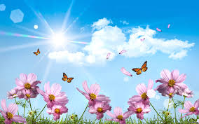 Image result for ‫تصویر گل‬‎