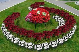 какие цветы посадить на клумбе чтобы цвели все лето фото Kakie Nizkoroslye Cvety Posadit V Klumbu Chtoby Cveli Vse Leto Sadovye Idei Cvety Klumby