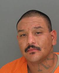 Fugitive Friday: Car Thief, Drug Dealer