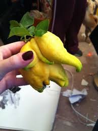 And This One An Elephant Funny Fruit Different Fruits And Vegetables Funny Vegetables