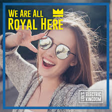 Electric Castle, activations from Lidl and Mastercard