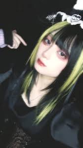 シュレディンガーの犬 掲示板