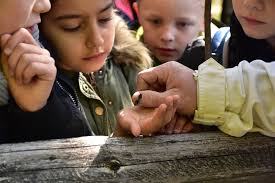 Forsthaus Hüppelröttchen in Eitorf: Kinder erkunden das Leben in der Natur 