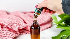 These might be your countertops, windows, doors, walls and sinks. Get Rid Of Ants Naturally Diy Ant Spray Making Lemonade