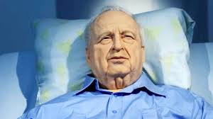 Hope For Coma Patients?