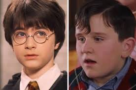 Quiz: Dursleys From "Harry Potter" Trivia