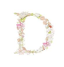 Letter D Vector Art Download Letter Vectors 455667 Letter D Lettering Decorative Monogram