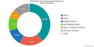 Cornell University Diversity Racial Demographics Other Stats