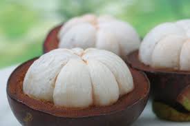 The leaves are thick and leathery, while the flowers are fleshy and 4 to 5 cm in diameter. Naturheilmittel Mangostan Mangostan Frucht