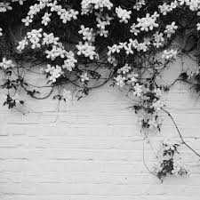 Composite doors are equipped to handle lots of use, so no need to worry about damage. Flower Wall Grey Uploaded By Gothgirl On We Heart It