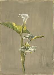 Fidelia Bridges Wikipedia Flower Painting Calla Lily American Art
