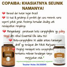 Usah risau lagi, kami ada sediakan beberapa tip mudah untuk anda cuba hari ini! Copaiba Tak Kenal Maka Tak Oilylicious Yleo Facebook