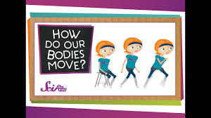 #6 body part activity for preschoolers: The Parts Of The Body Theschoolrun