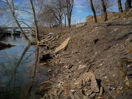 140 college drive, pottstown, pa 19464. Give Schuylkill River The Wetlands It Wants