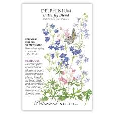 Butterfly Blend Delphinium Seeds Delphinium Delphinium Grandiflorum Dried Flower Arrangements